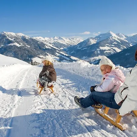 Daire Landhaus Alpbach *