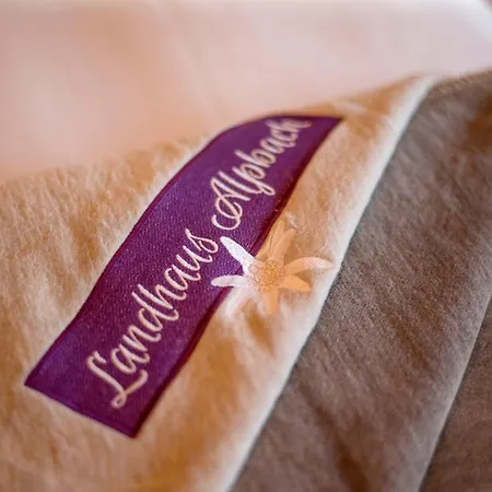 Daire Landhaus Alpbach Alpbach