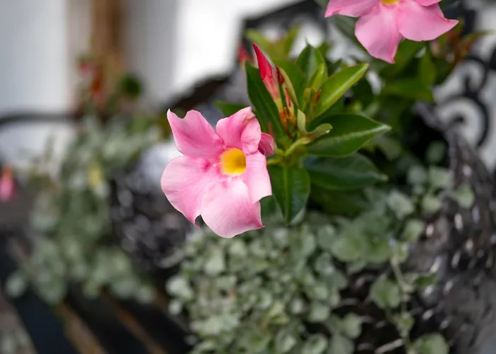 Landhaus Alpbach Appartement