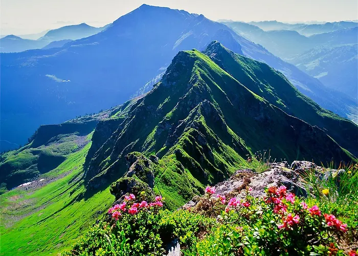 Landhaus Alpbach Alpbach