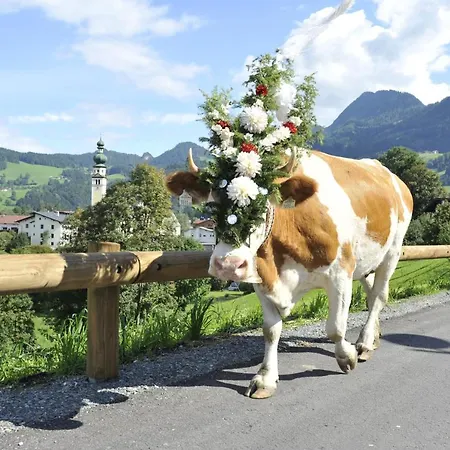 Apartamento Landhaus Alpbach Alpbach