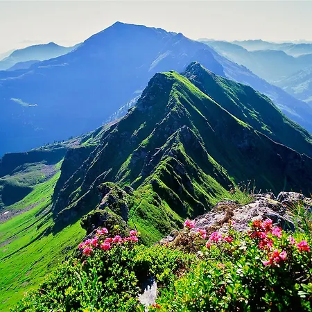 Landhaus Alpbach Alpbach